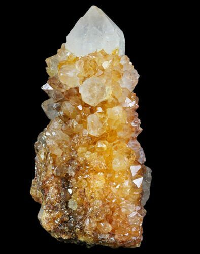 Sunshine Cactus Quartz Crystal - South Africa #80212